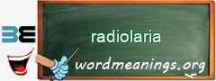 WordMeaning blackboard for radiolaria